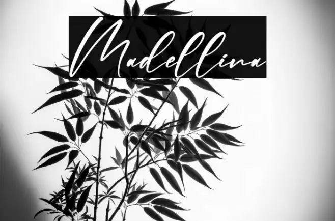 Madellina Font examples