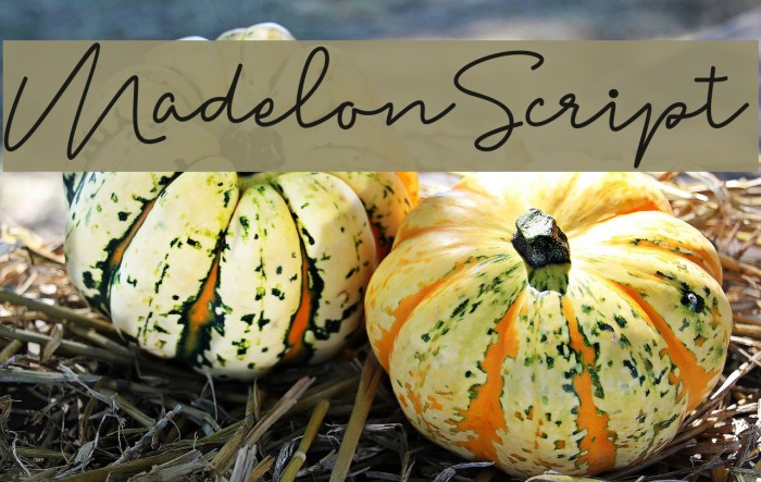 MadelonScript Font examples