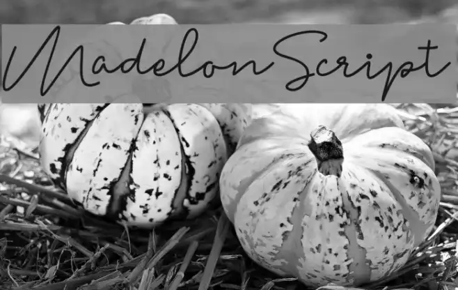 MadelonScript Example 2