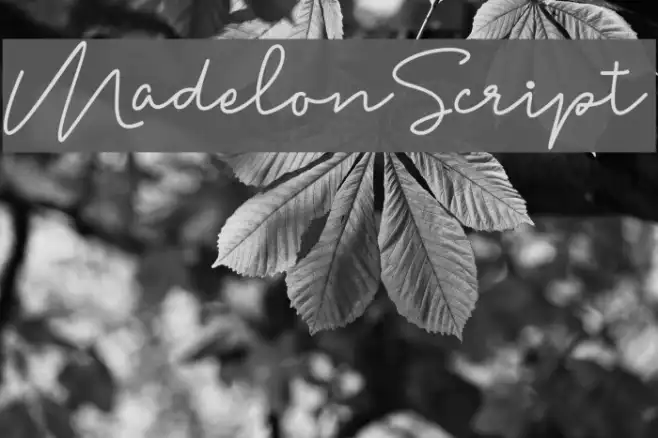 MadelonScript Example 3