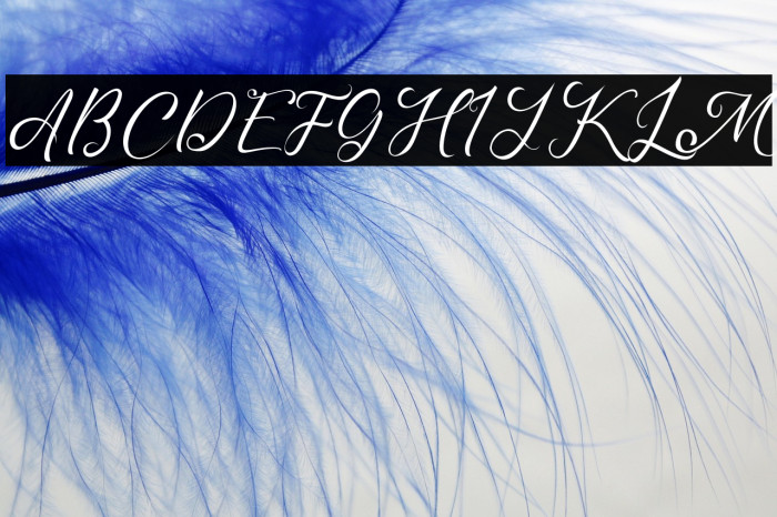 Madelyn Demo Example 1