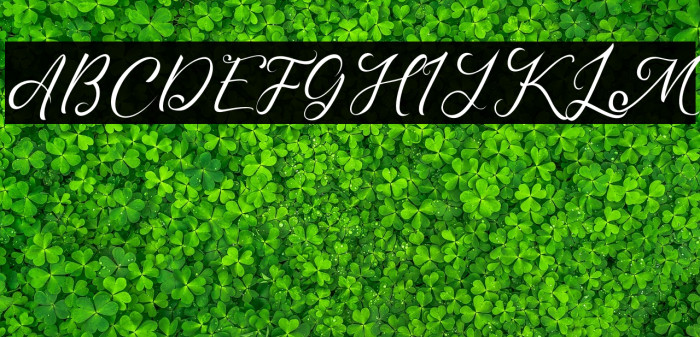 Madelyn Demo Example 3