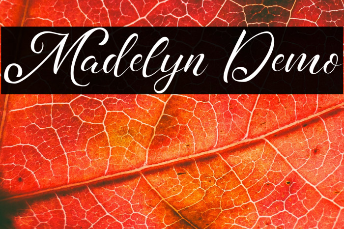 Madelyn Demo Example 2