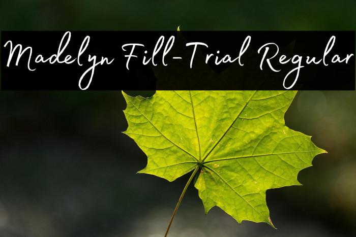 Madelyn Fill-Trial Regular Example 2