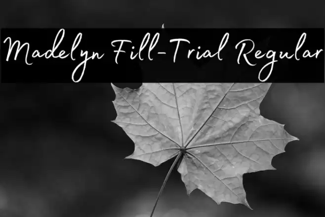 Madelyn Fill-Trial Regular Font examples