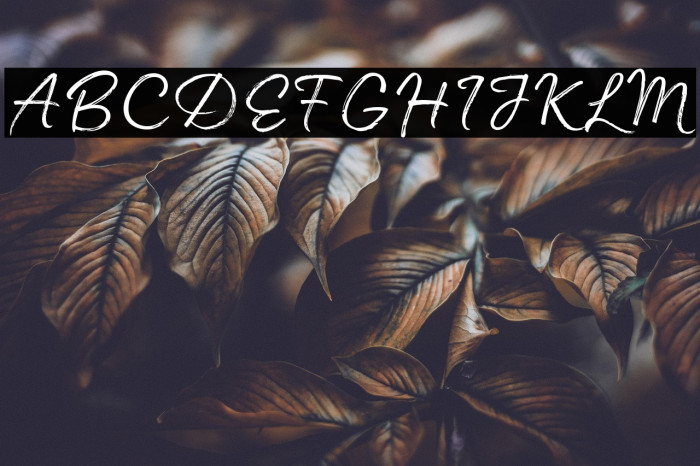 Madelyn-Trial Regular Example 2