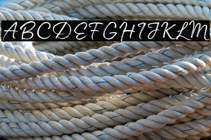 Madelyn-Trial Regular Example 3