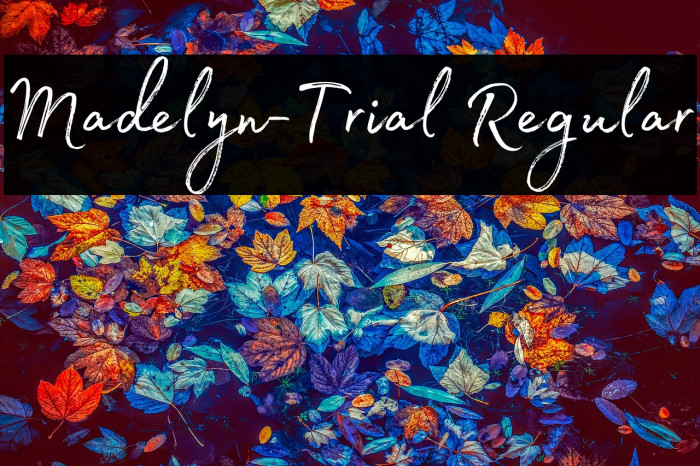 Madelyn-Trial Regular Example 1