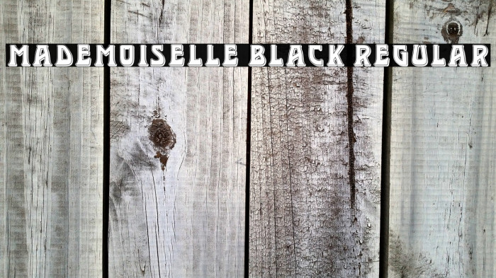 Mademoiselle Black Regular Example 2