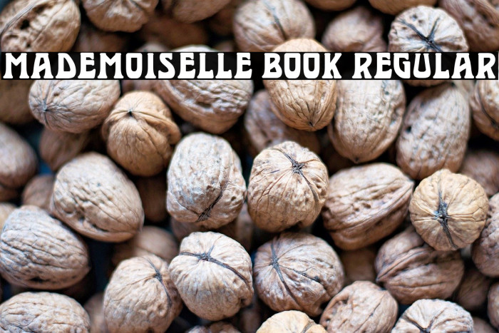 Mademoiselle Book Regular Example 1