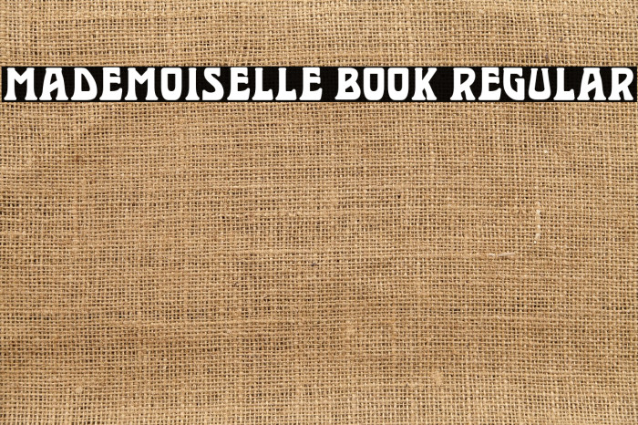 Mademoiselle Book Regular Example 2