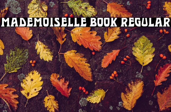 Mademoiselle Book Regular Example 3