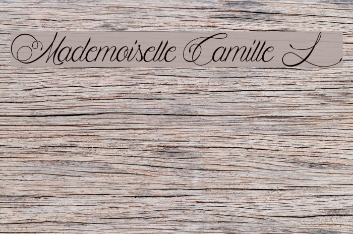 Mademoiselle Camille L Font examples