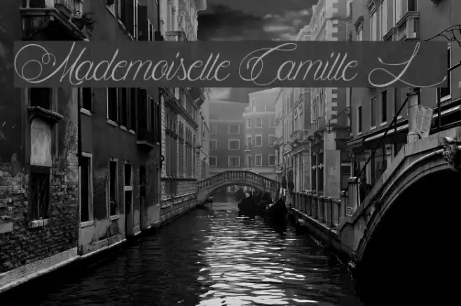 Mademoiselle Camille L Font examples