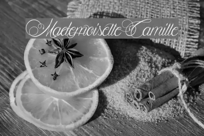 Mademoiselle Camille Font examples