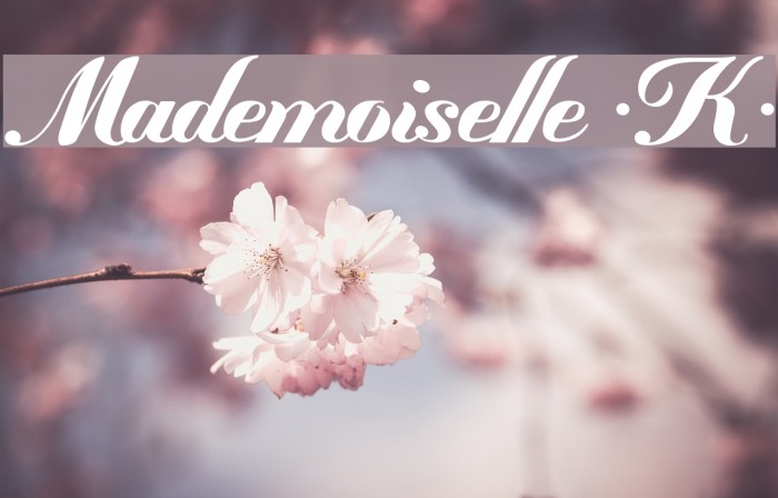 Mademoiselle ·K· Example 3