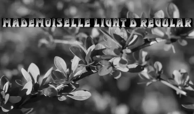 Mademoiselle Light 3D Regular Font examples