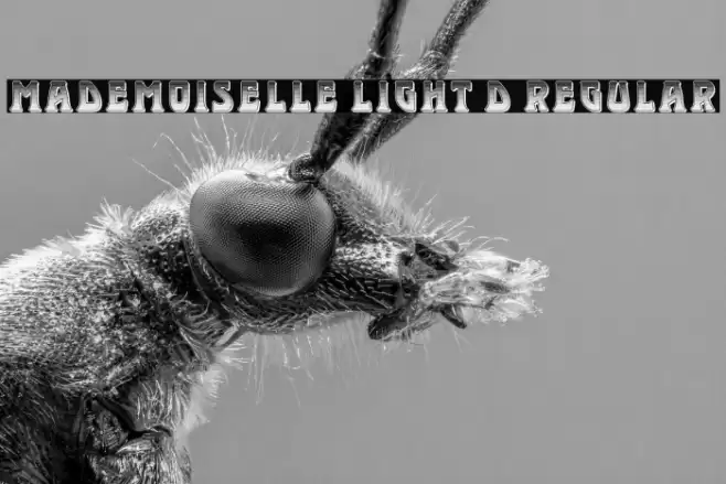 Mademoiselle Light 3D Regular Font examples