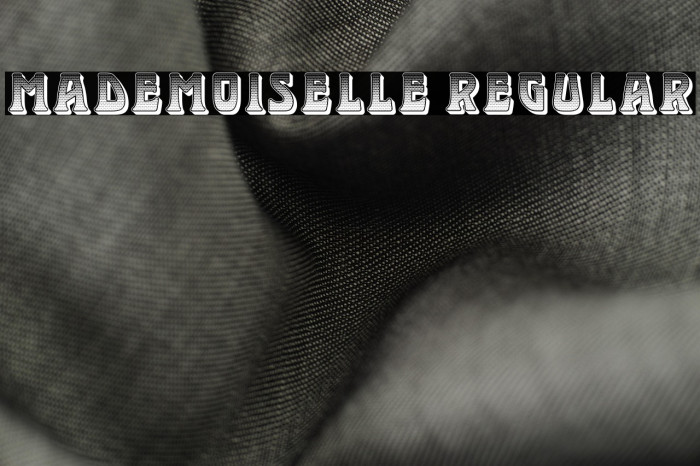 Mademoiselle Regular Example 1
