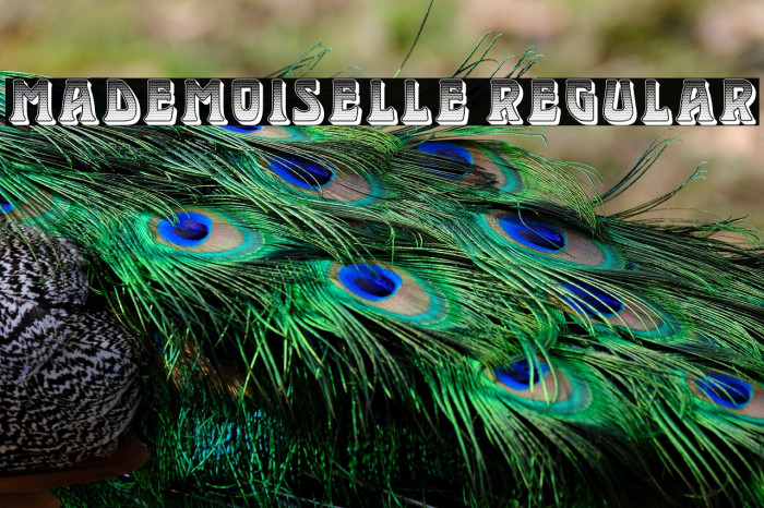 Mademoiselle Regular Example 3