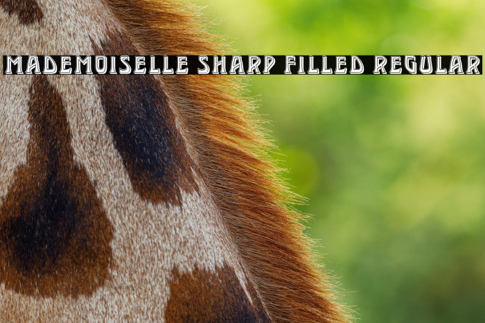 Mademoiselle Sharp Filled Regular Example 2