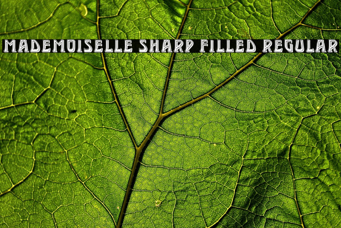 Mademoiselle Sharp Filled Regular Example 3