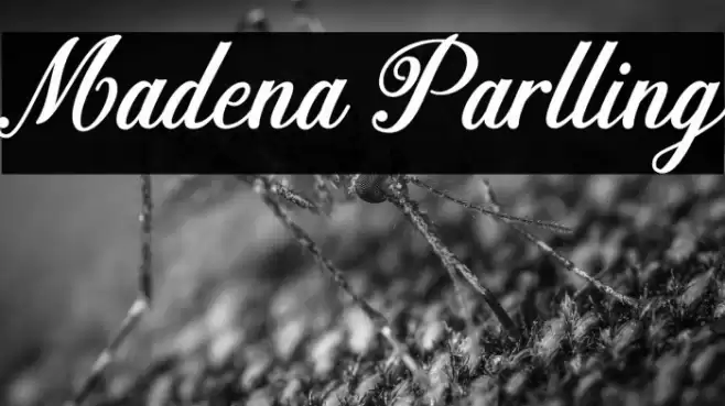 Madena Parlling Font examples