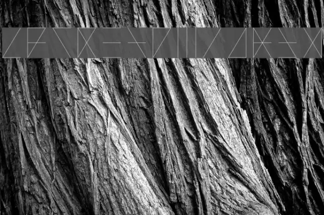 Madeon Runes Light Font examples