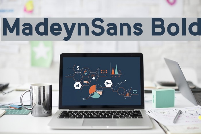 MadeynSans Bold Font examples