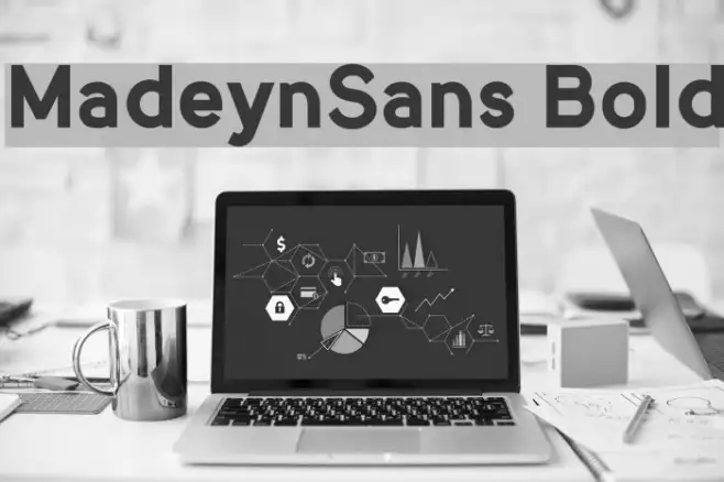 MadeynSans Bold Example 2