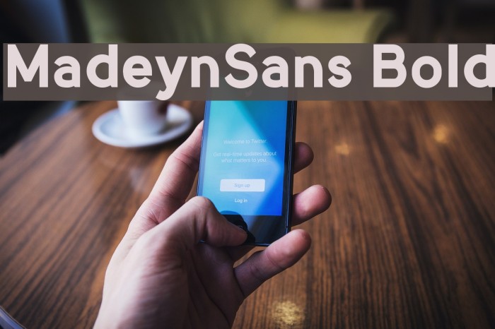 MadeynSans Bold Font examples