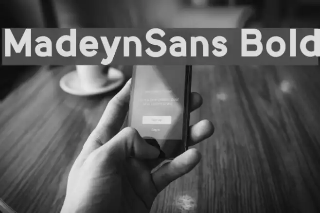 MadeynSans Bold Example 3