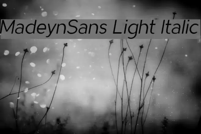 MadeynSans Light Italic Font examples