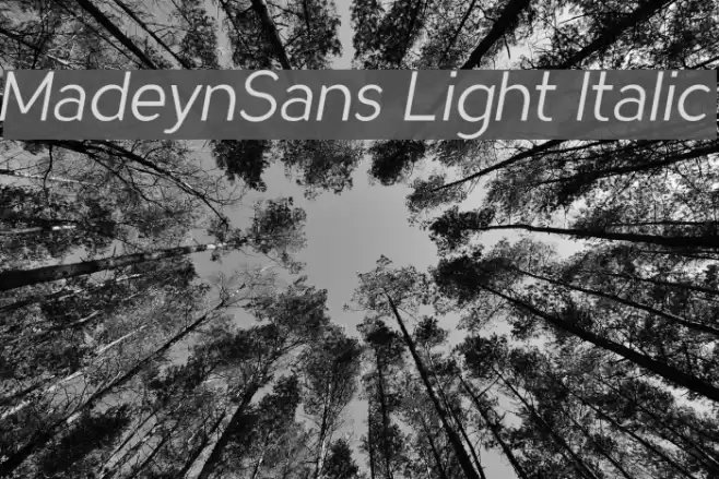 MadeynSans Light Italic Font examples