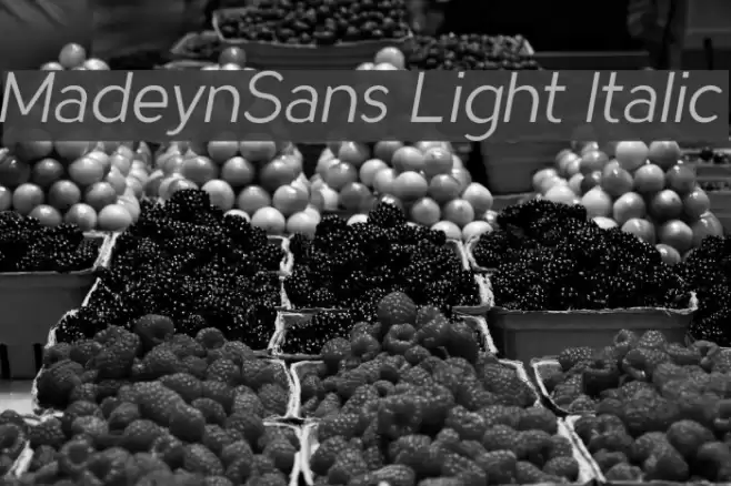 MadeynSans Light Italic Font examples