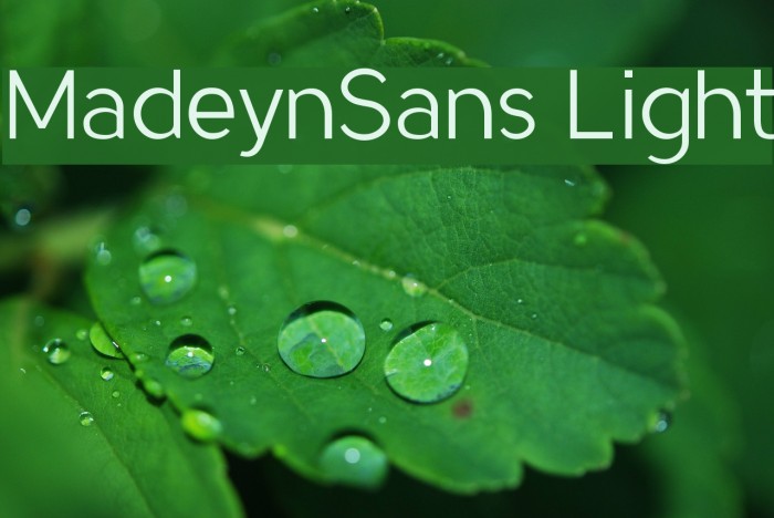 MadeynSans Light Example 3