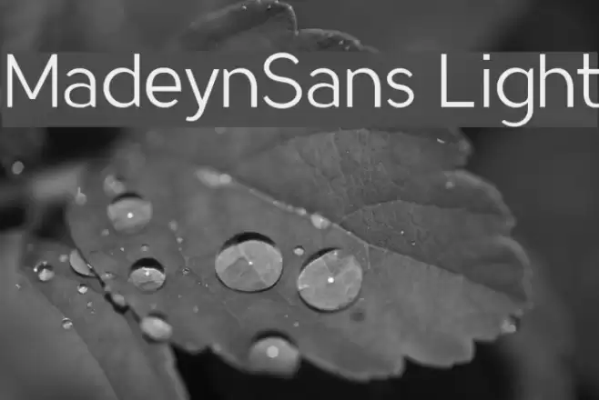 MadeynSans Light Font examples