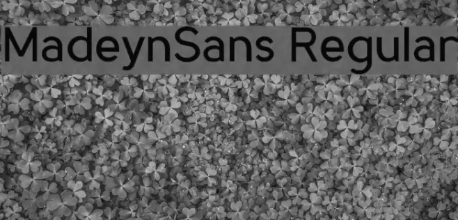 MadeynSans Regular Font examples