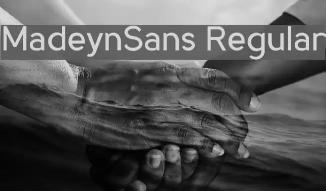MadeynSans Regular Font examples