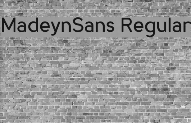 MadeynSans Regular Font examples