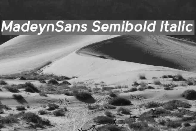MadeynSans Semibold Italic Font examples