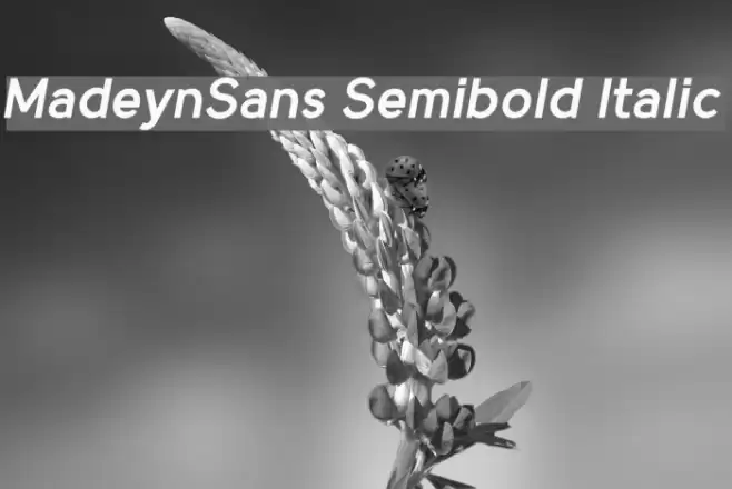 MadeynSans Semibold Italic Font examples