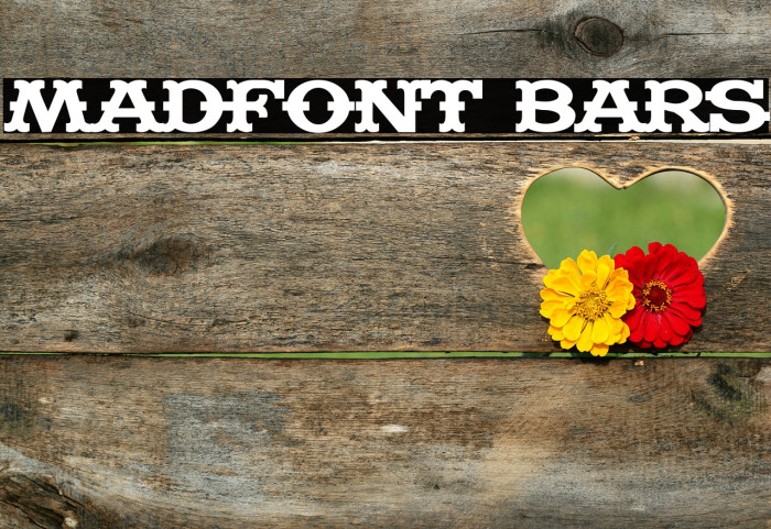 Madfont Bars Font examples