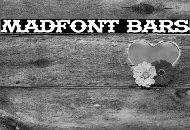 Madfont Bars Example 1