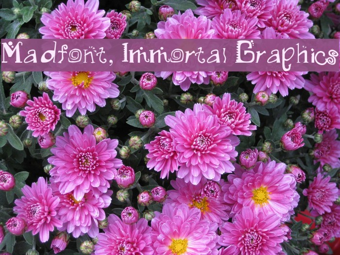 Madfont, Immortal Graphics Font examples