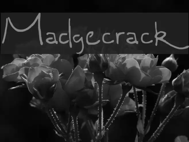 Madgecrack Font examples