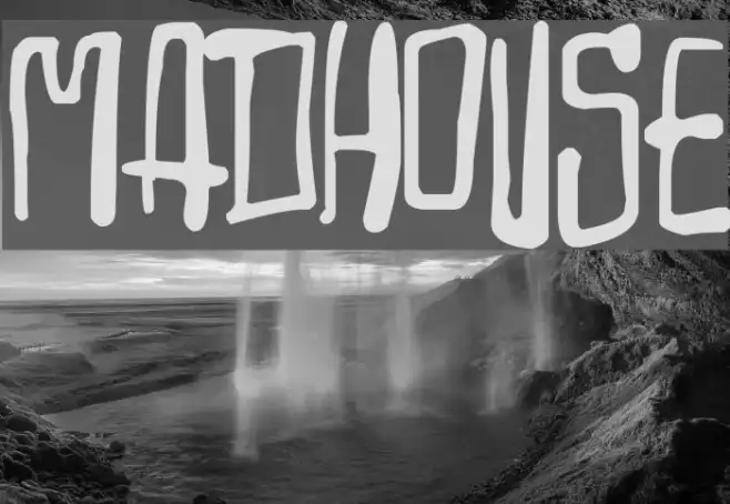 Madhouse Example 2