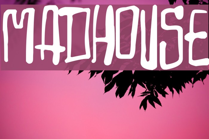 Madhouse Font examples
