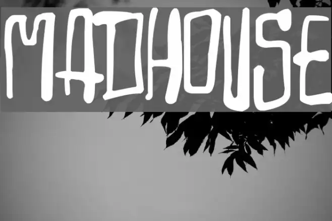 Madhouse Example 3