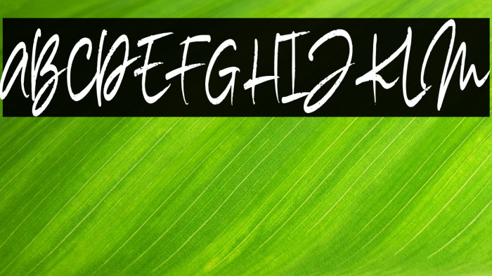 Madigel Personal Use Example 1